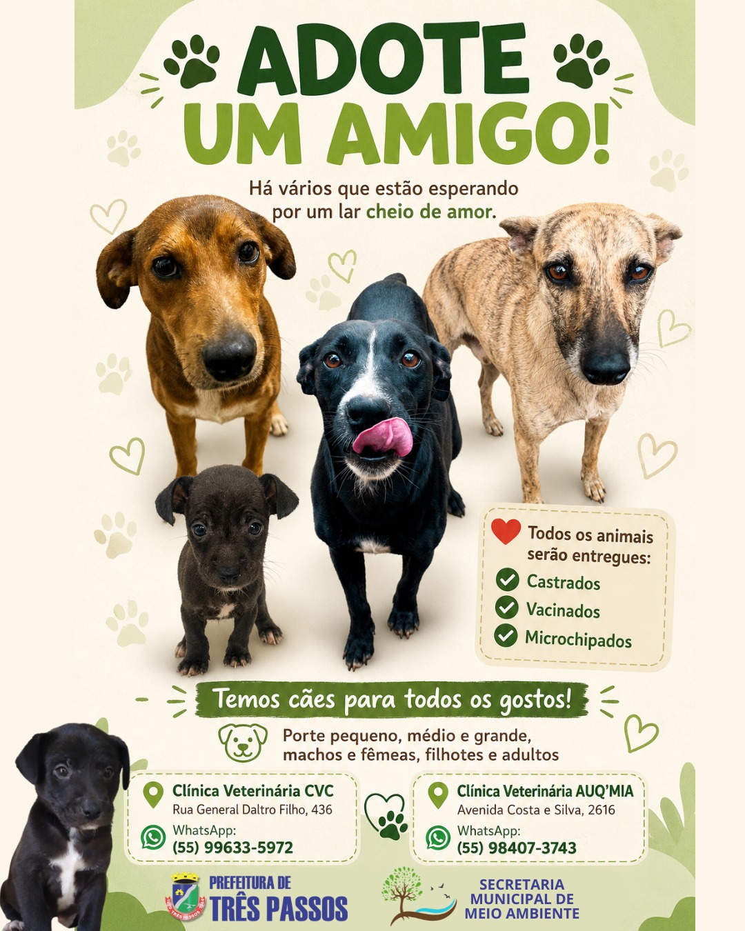 Foto relacionada à notícia: Há histórias que não deveriam existir: Doação responsável!
