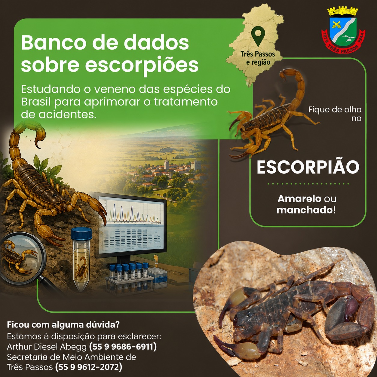 Foto relacionada à notícia: Encontrou um escorpião? Seu registro pode contribuir com pesquisa científica